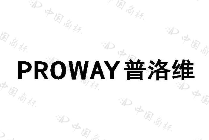 孫洪喜的企業愿景 技術服務與創新驅動的未來